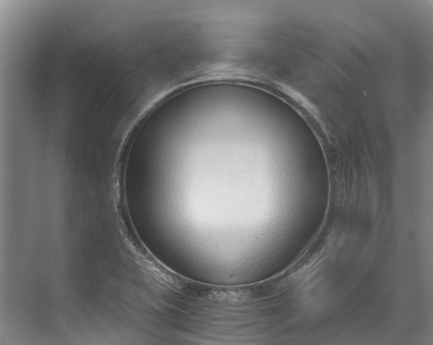 X0000072951415200608041256