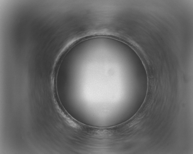 X0000072951416200608041256