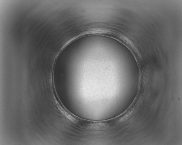 X0000072951417200608041256