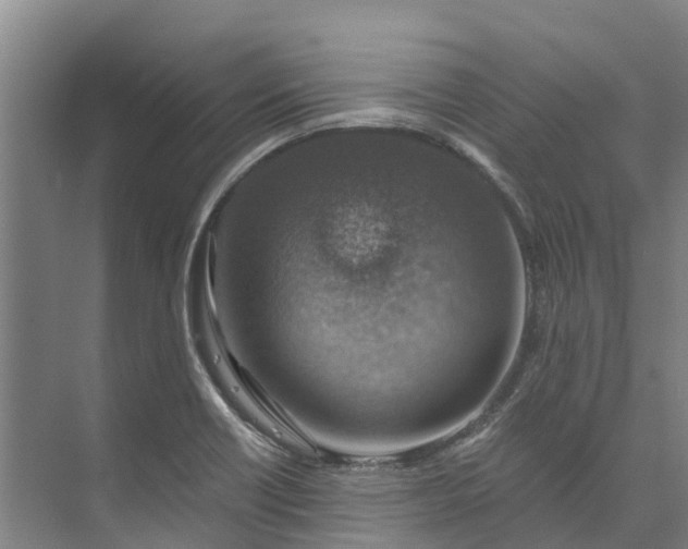 X0000072951418200608041256