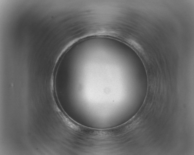 X0000072951420200608041256