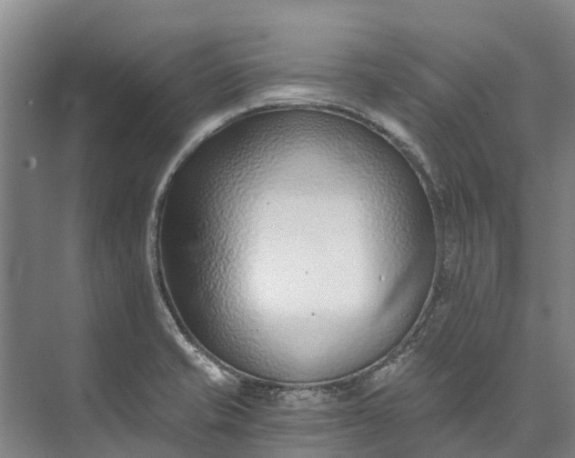 X0000072951421200608041256