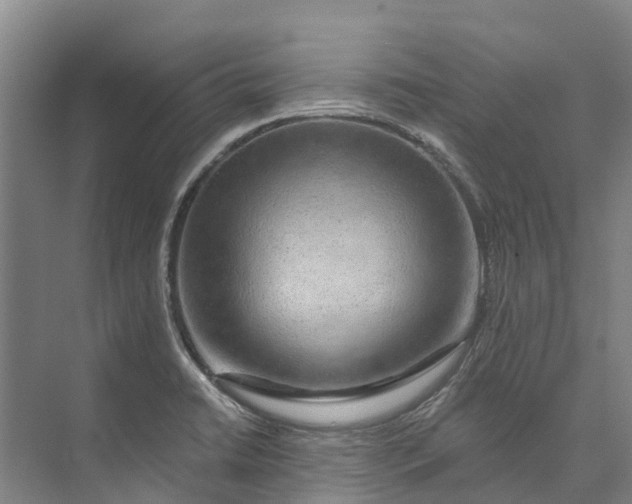 X0000072951422200608041256