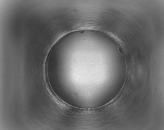 X0000072951423200608041256