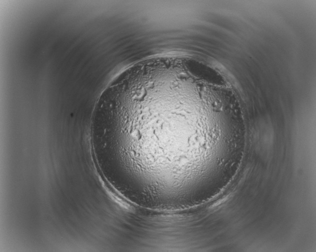 X0000072951425200608041256