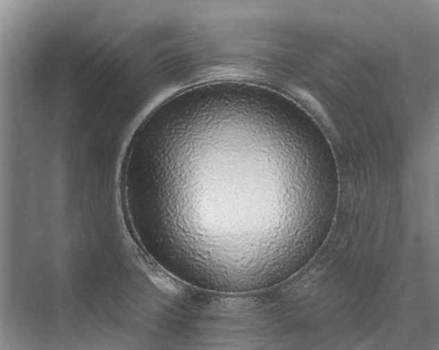 X0000072951427200608041256