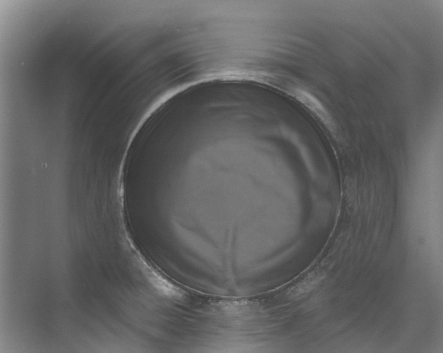 X0000072951428200608041256