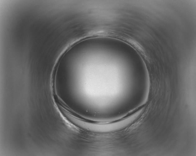 X0000072951430200608041256