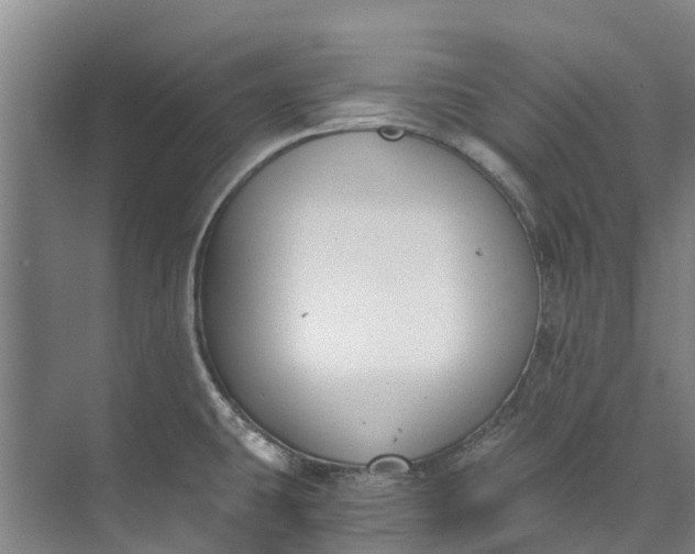 X0000072951431200608041256