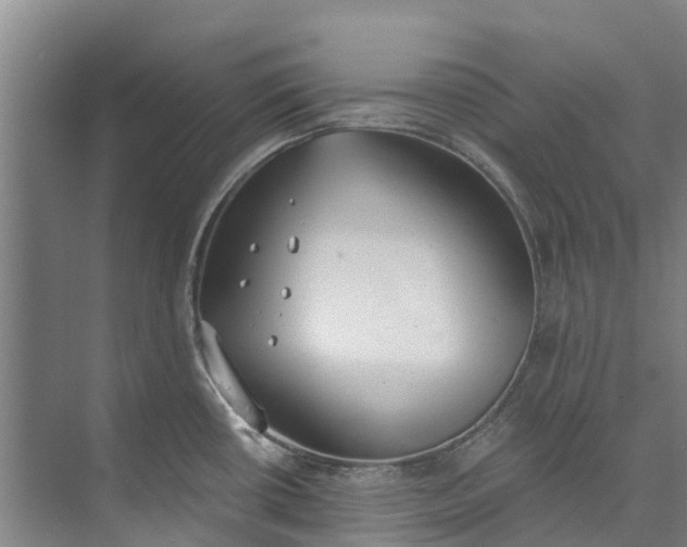 X0000072951434200608041256