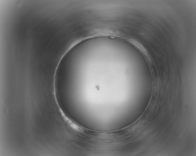 X0000072951439200608041256