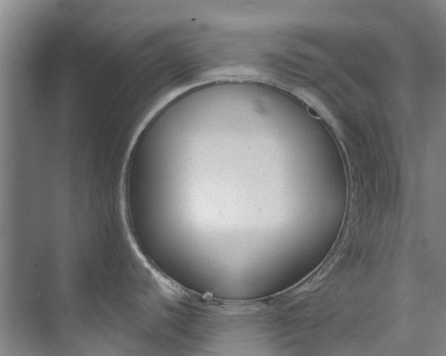 X0000072951440200608041256