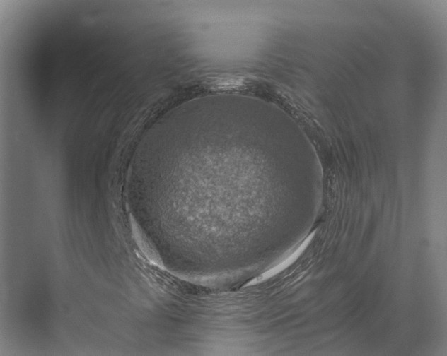 X0000072951441200608041255