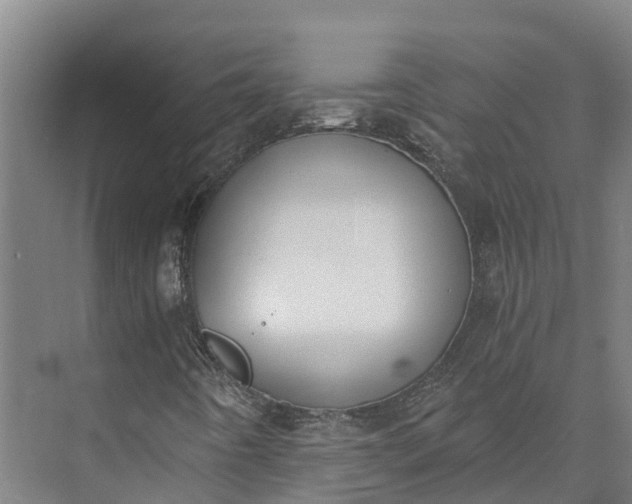 X0000072951442200608041255