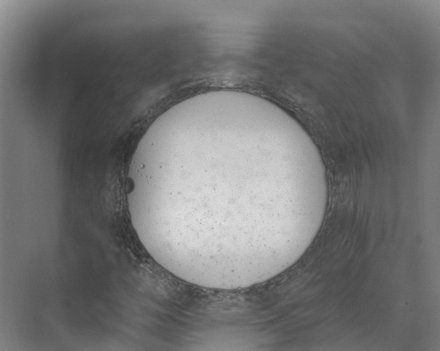 X0000072951446200608041255