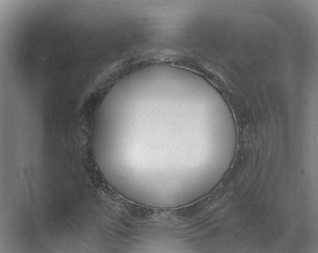 X0000072951447200608041255