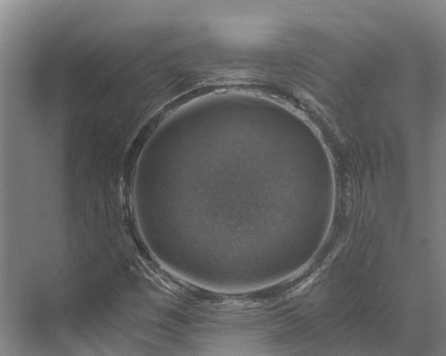 X0000072951449200608041255