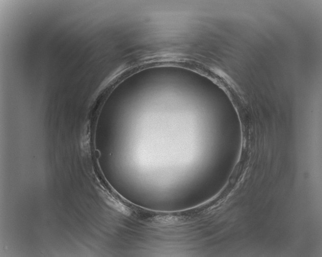 X0000072951450200608041255