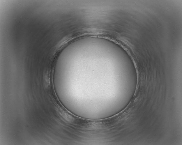 X0000072951451200608041255