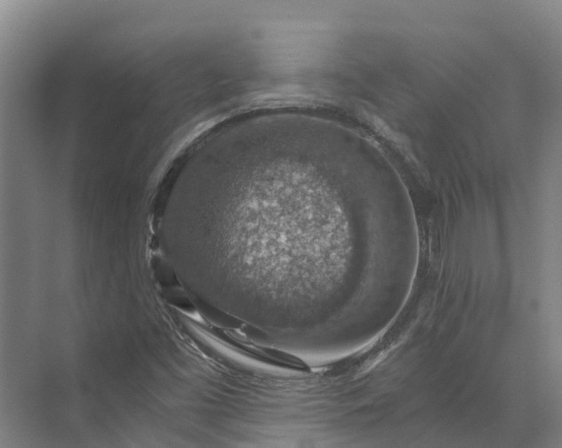 X0000072951453200608041255