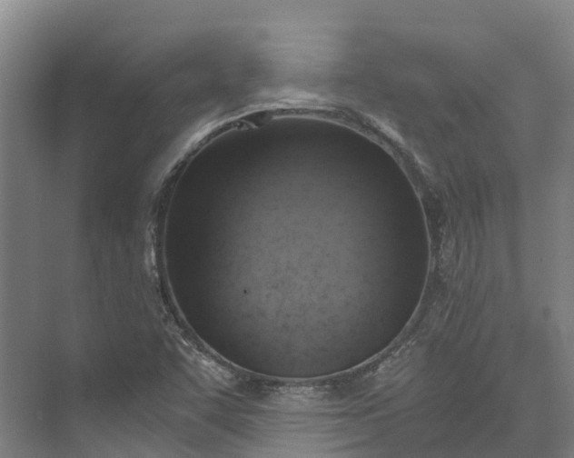 X0000072951455200608041255