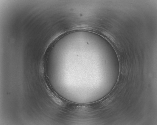 X0000072951458200608041255