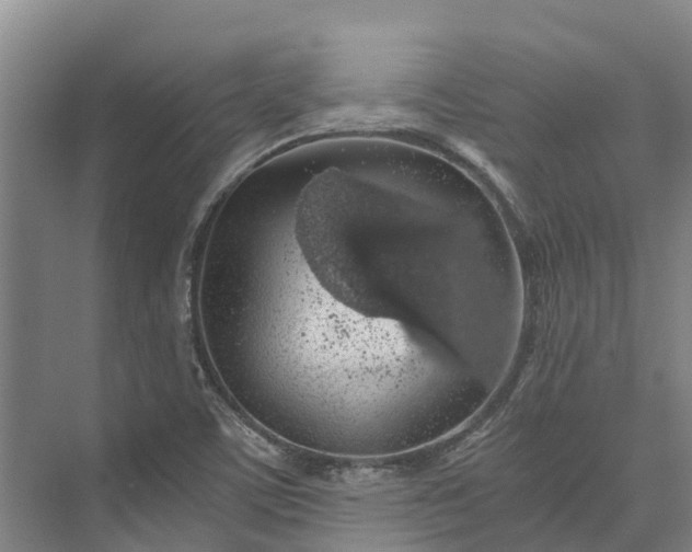 X0000072951459200608041255