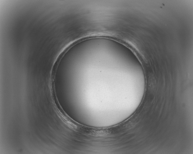 X0000072951460200608041255