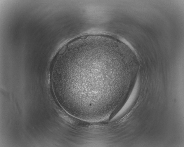 X0000072951461200608041255