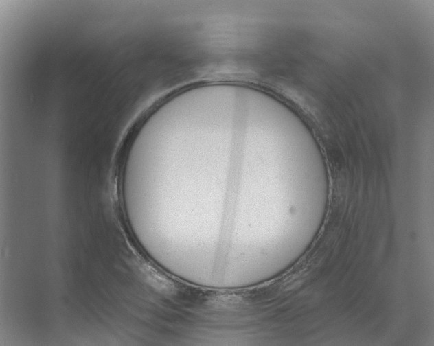 X0000072951462200608041255