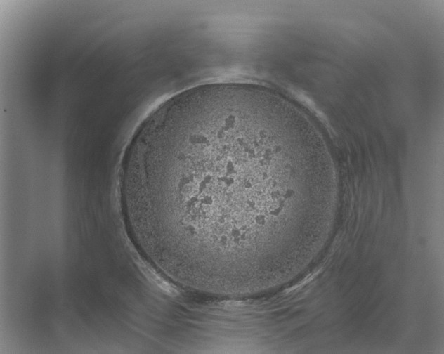 X0000072951463200608041255