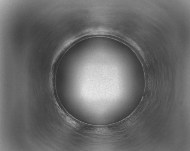 X0000072951464200608041255