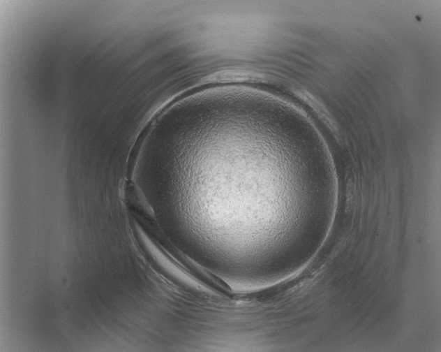 X0000072951465200608041255