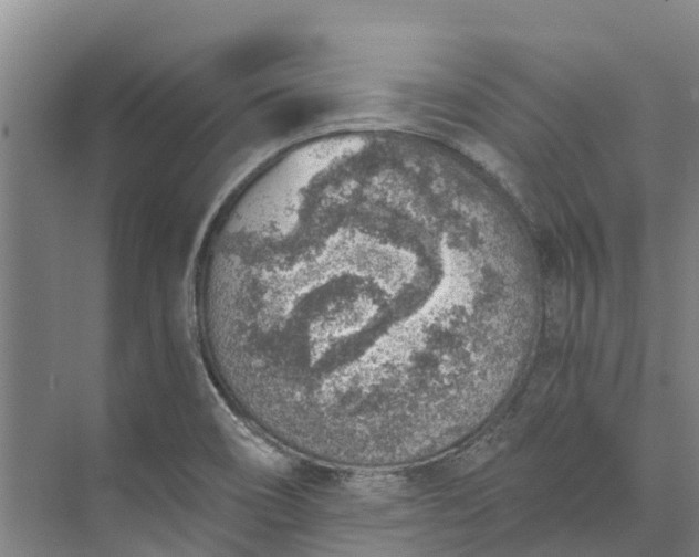 X0000072951466200608041255