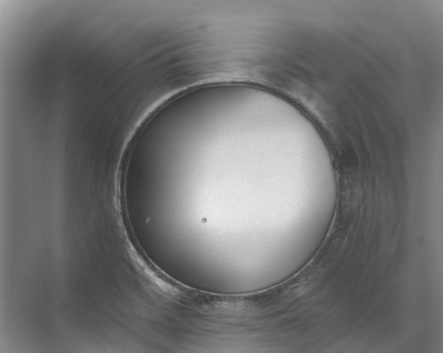 X0000072951468200608041255