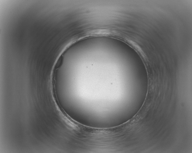 X0000072951475200608041255