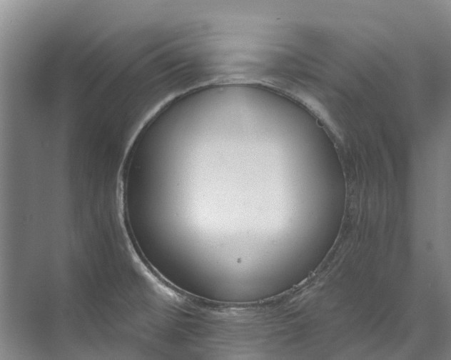 X0000072951476200608041255