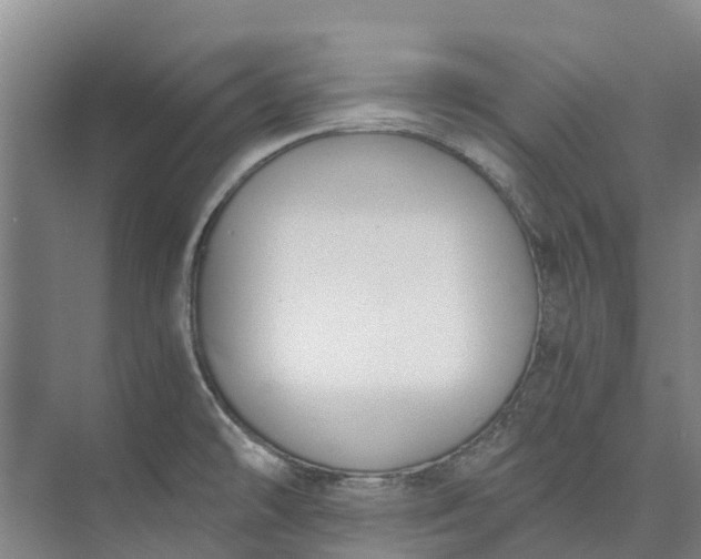 X0000072951478200608041255