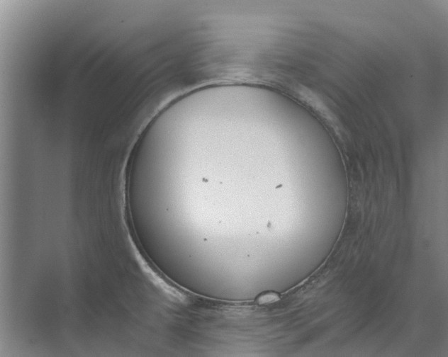 X0000072951479200608041255