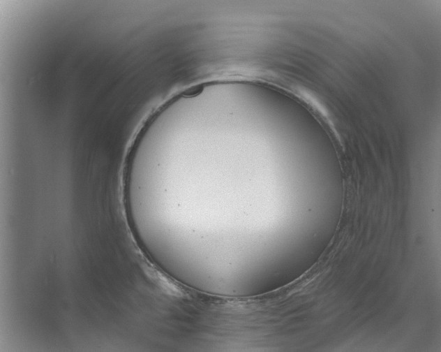 X0000072951480200608041255