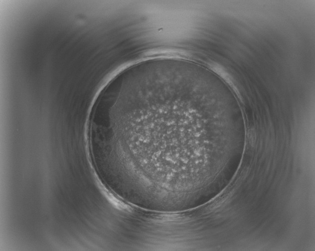 X0000072951482200608041255