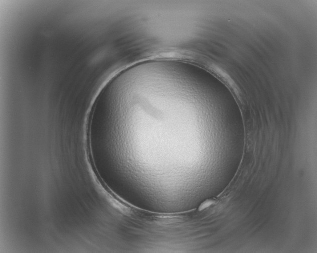 X0000072951483200608041255