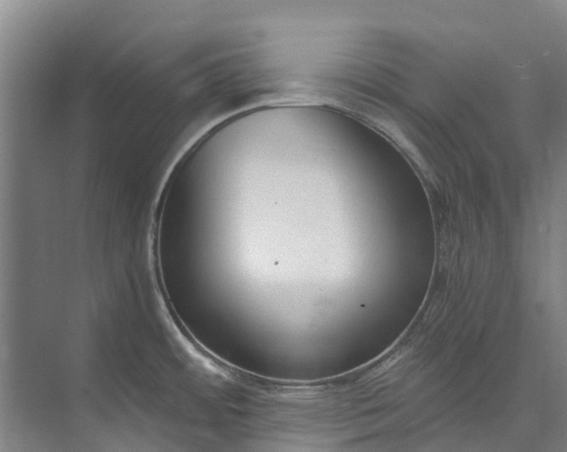 X0000072951484200608041255