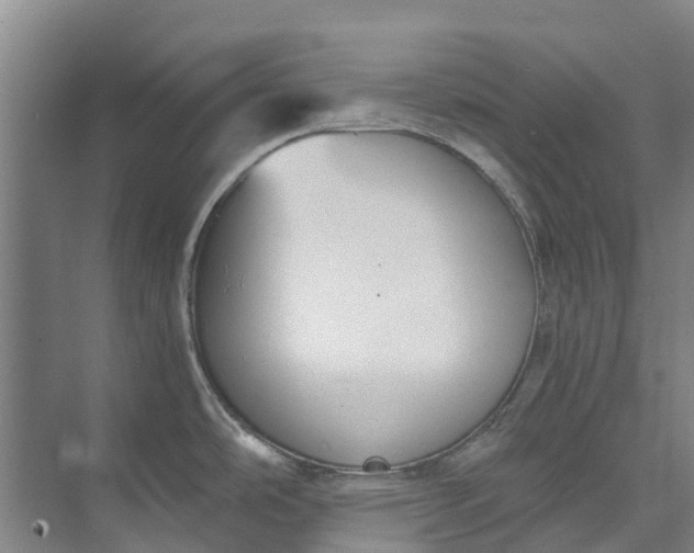 X0000072951486200608041255