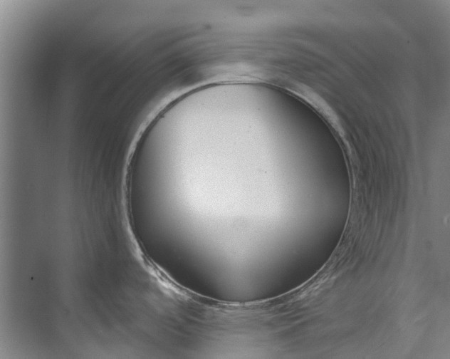 X0000072951488200608041255