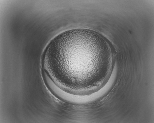 X0000072951508200608041254