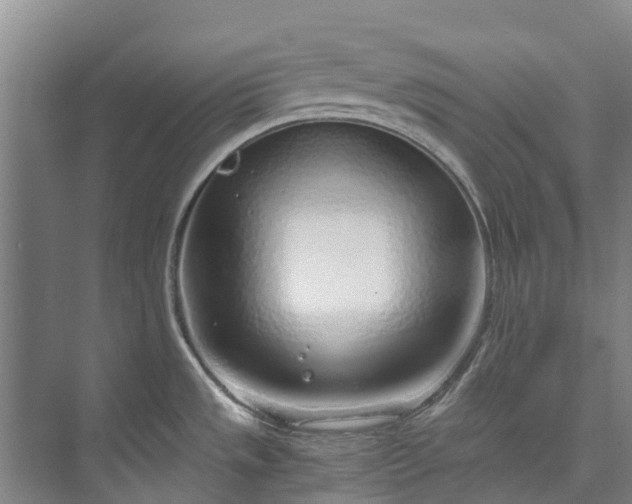 X0000072951533200608041255