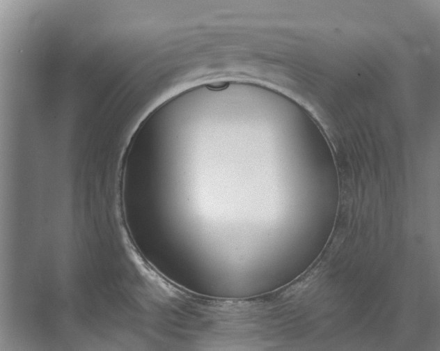 X0000072951534200608041255