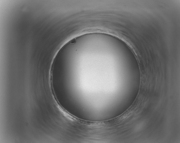 X0000072951535200608041255