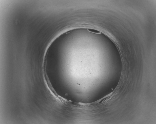 X0000072951536200608041255